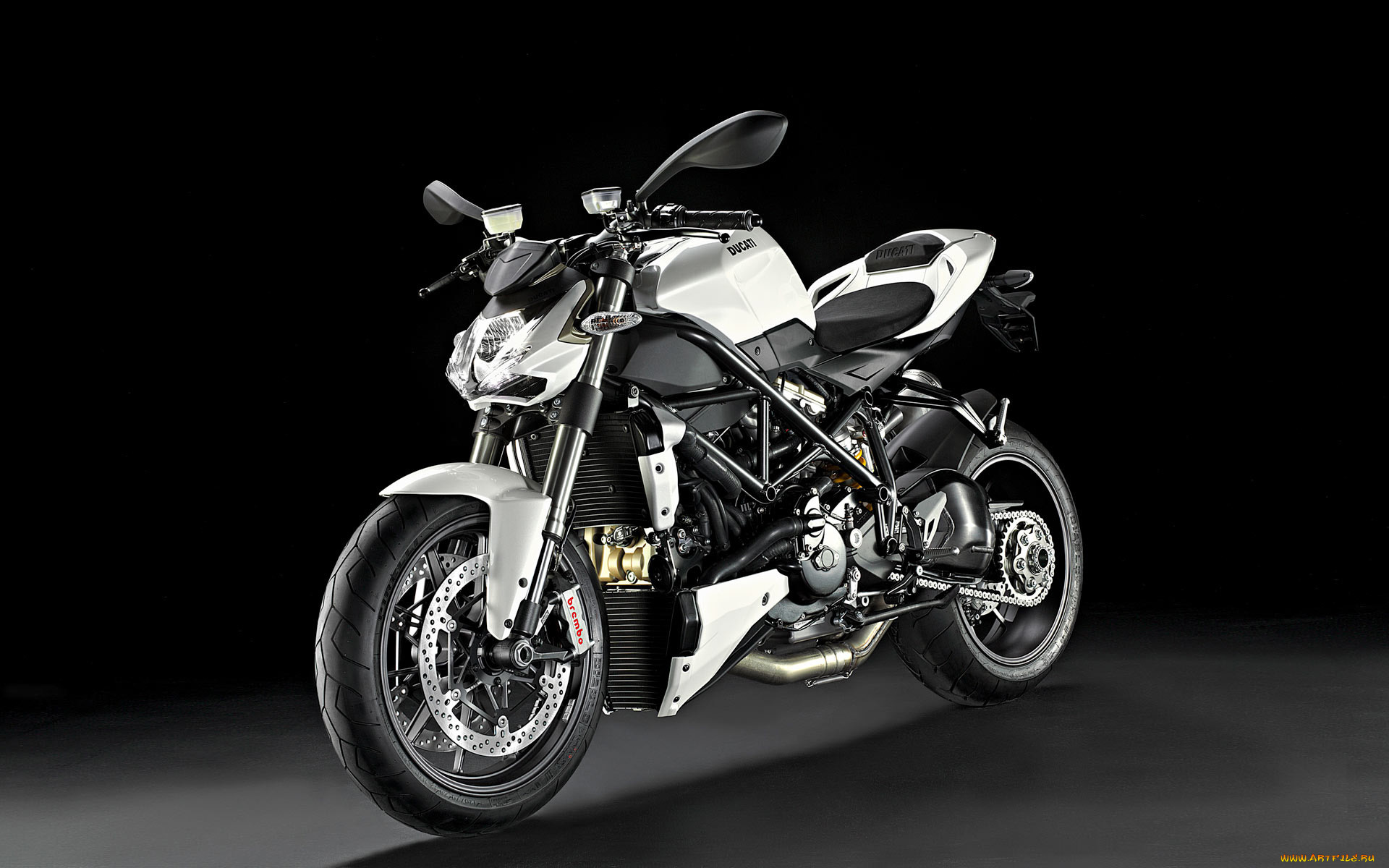 , ducati